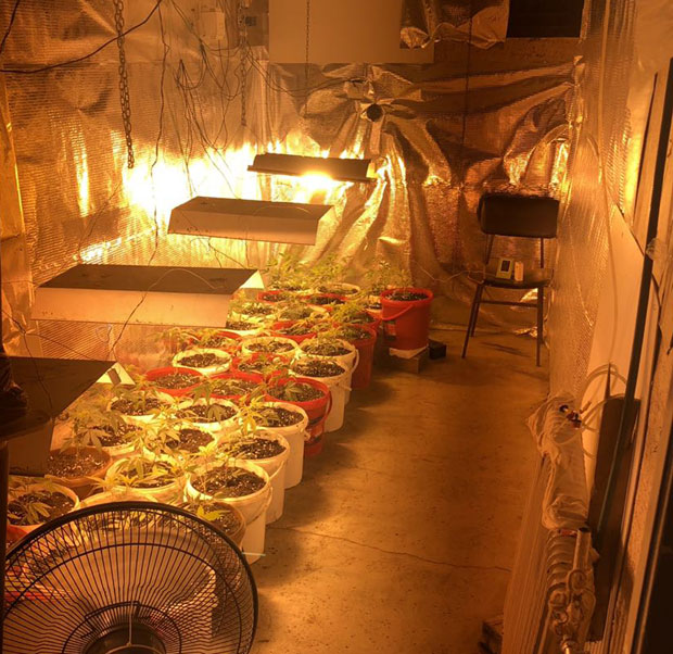 У центру Бање Луке пронађена лабораторија за узгој марихуане